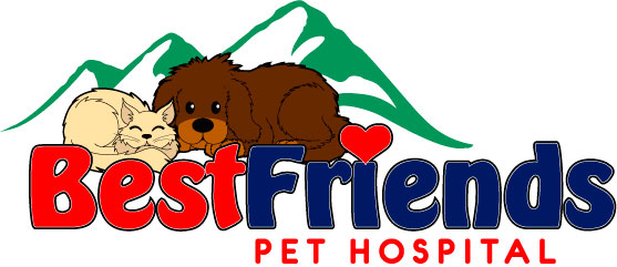 Best Friends Pet Hospital