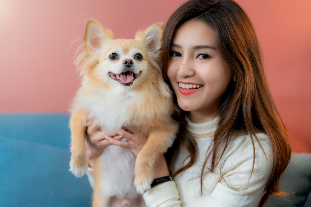 Owner holding a healthy, happy small dog