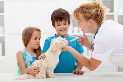 Family and their puppy at a routine wellness visit