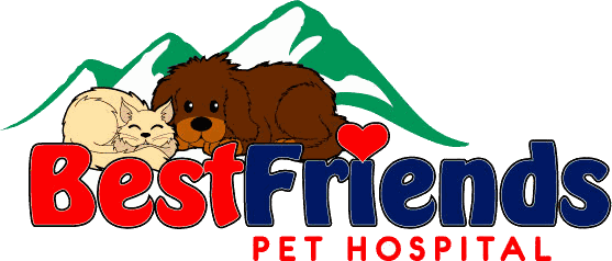 Best Friends Pet Hospital logo